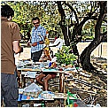 13H_8822 - 334 KB