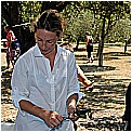 13H_8859 - 195 KB