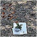 13H_8860 - 315 KB