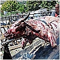 13H_9332 - 306 KB