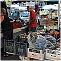 13H_0529 - 235 KB