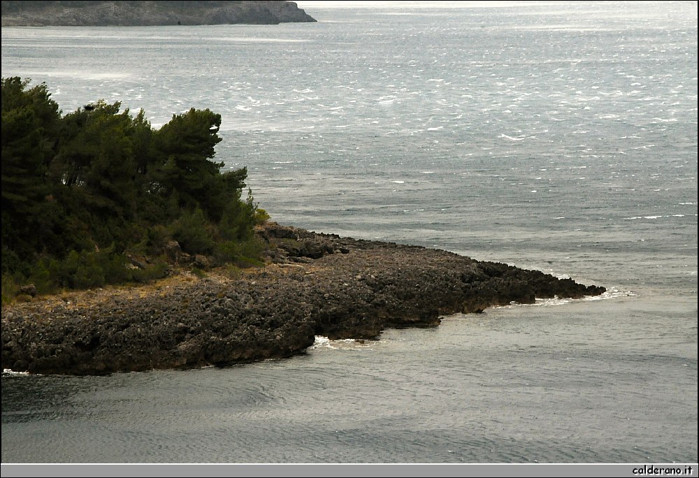 DSC_5813.JPG