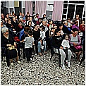 13L_1384 - 260 KB