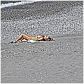 13M_1426 - 298 KB