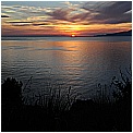 13M_1774 - 114 KB