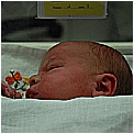 BIA_0033 - 103 KB
