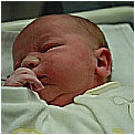 BIA_0036 - 98,5 KB