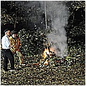 13T_2757 - 246 KB