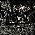 13T_2759 - 238 KB