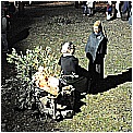 13T_2765 - 262 KB