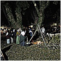 13T_2766 - 215 KB