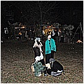13T_2771 - 189 KB
