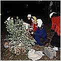 13T_2807 - 224 KB
