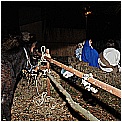 13T_2850 - 197 KB