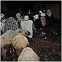 13T_2859 - 205 KB