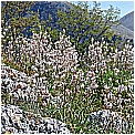 14B_3858 - 343 KB