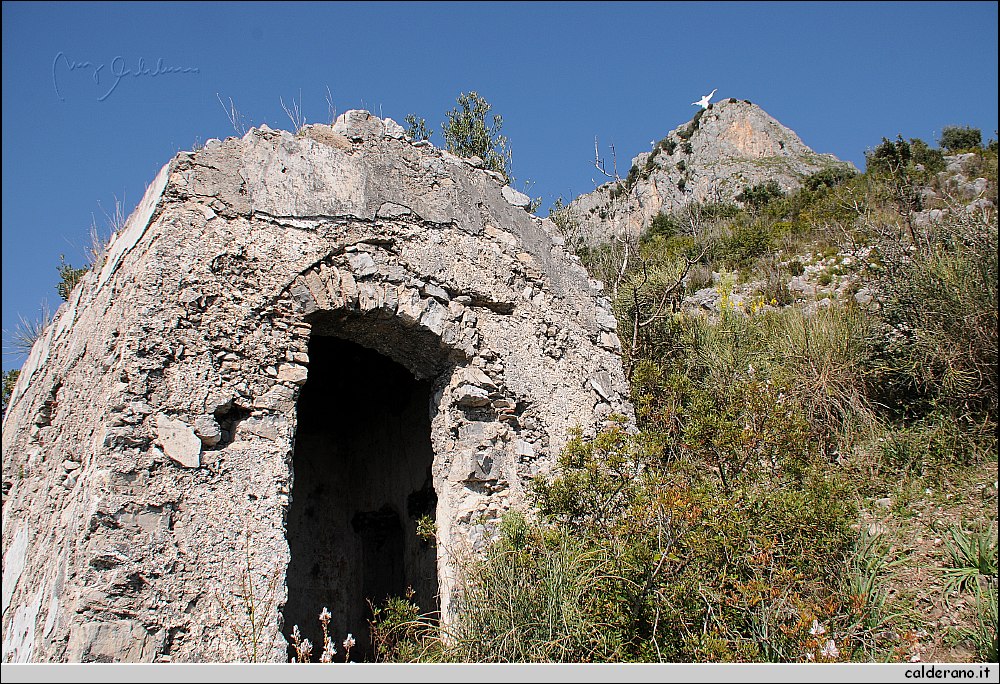 14D_3975.JPG