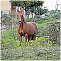 14D_4064 - 210 KB
