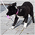 DSCN0160 - 253 KB