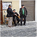 DSCN0161 - 242 KB