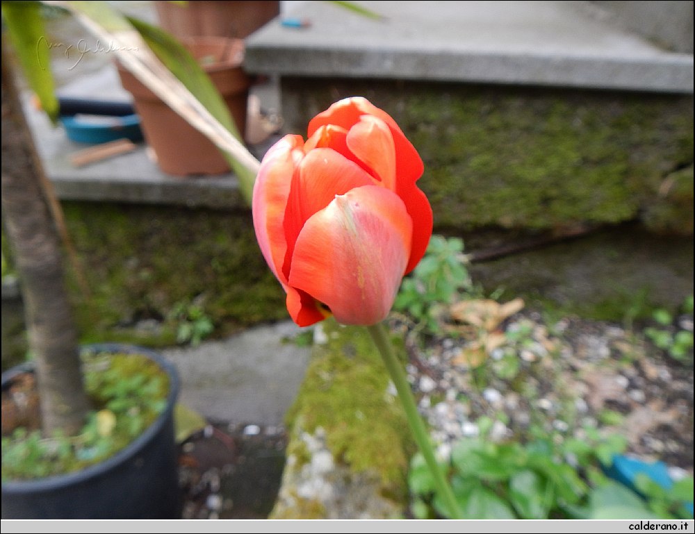 DSCN0175.JPG