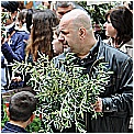 14D_4146 - 211 KB