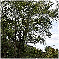 14D_4169 - 365 KB