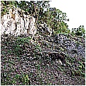 DSCN0421 - 423 KB