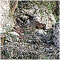DSCN0424 - 471 KB