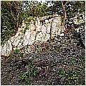 DSCN0425 - 424 KB