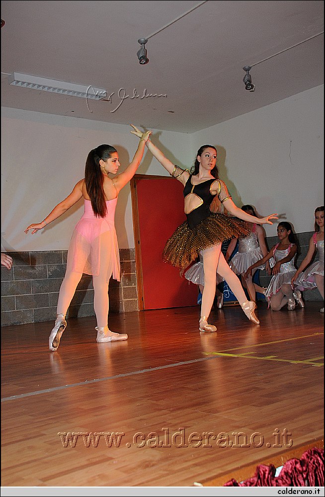 14G_7705.jpg