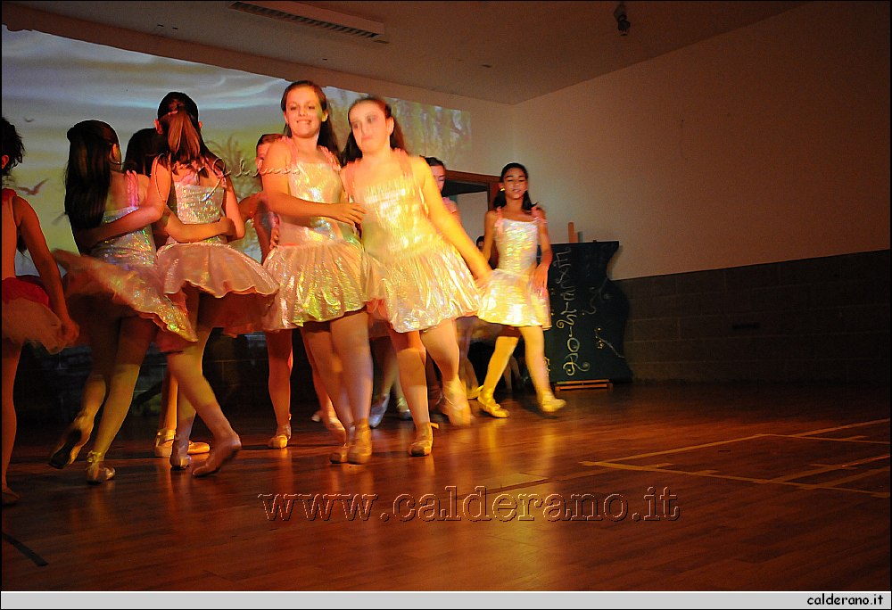 14G_7729.JPG