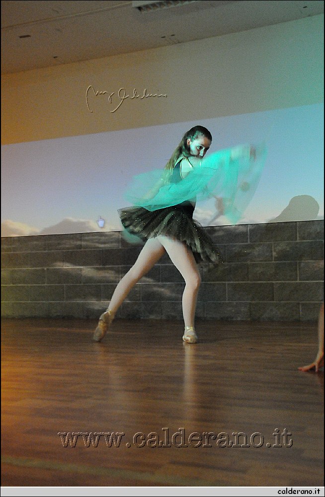 14G_7783.jpg