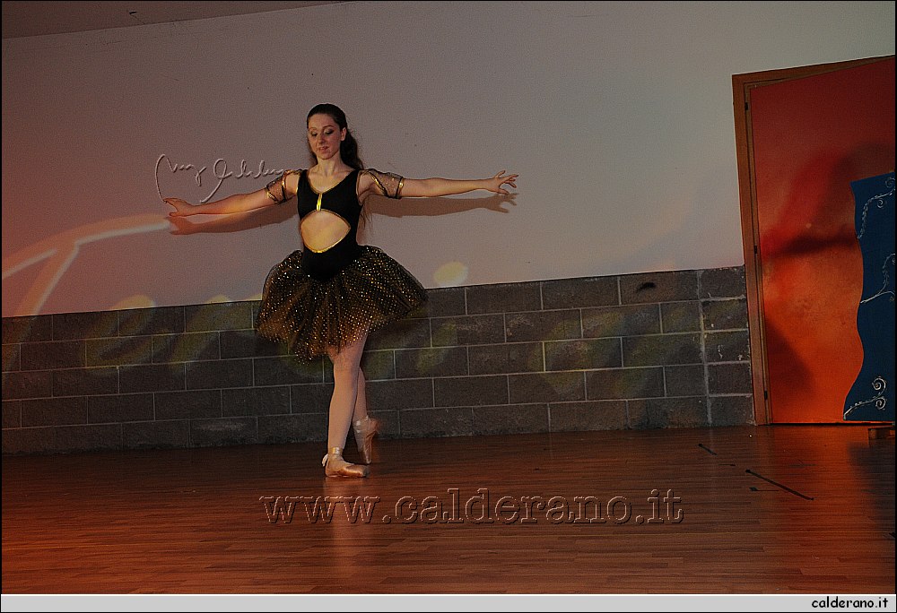 14G_7931.JPG