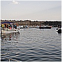 14G_8145 - 185 KB
