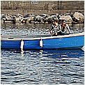 14G_8151 - 293 KB
