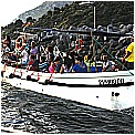 14G_8155 - 289 KB