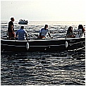 14G_8156 - 235 KB