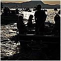14G_8161 - 213 KB
