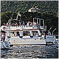 14G_8170 - 290 KB