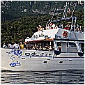14G_8175 - 259 KB