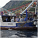 14G_8194 - 299 KB