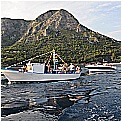 14G_8199 - 284 KB