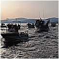 14G_8215 - 219 KB