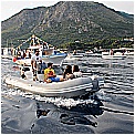 14G_8233 - 275 KB