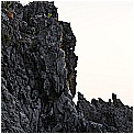 14G_8283 - 172 KB