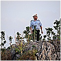 14G_8290 - 230 KB