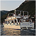 14G_8299 - 240 KB