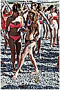 14L_8427 - 323 KB