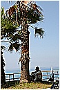 14L_9058 - 253 KB